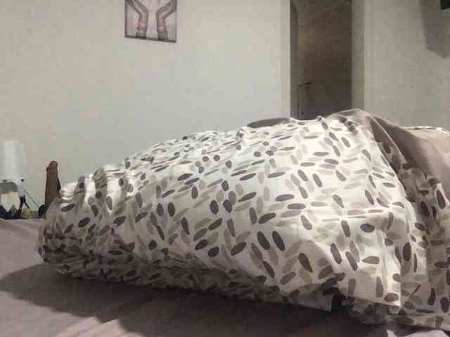 paula19801 paula19801