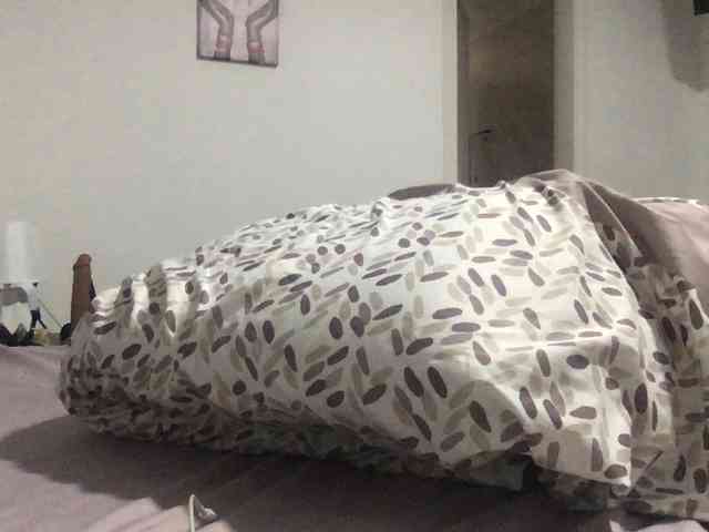 paula19801 paula19801