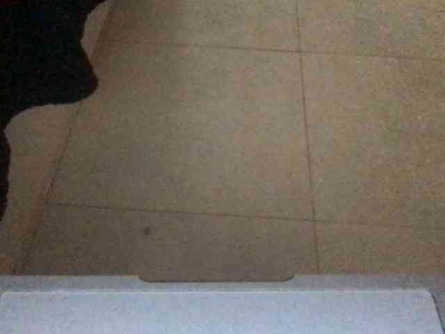 paula19801 webcam