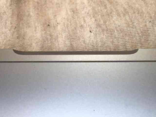 paula19801 webcam