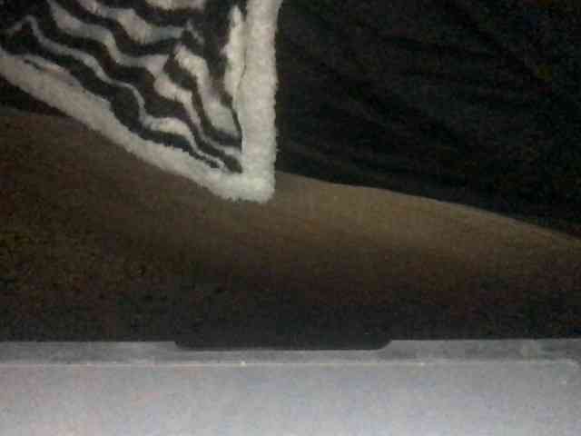 paula19801 Live Webcam on BongaCams