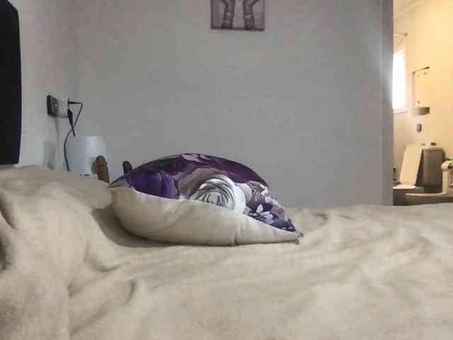 paula19801 paula19801