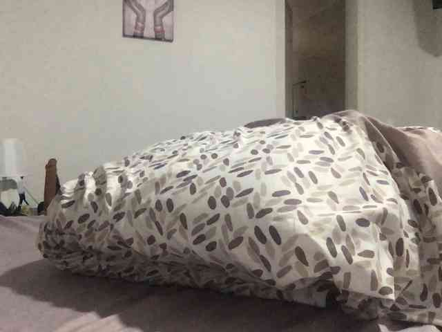 paula19801 paula19801