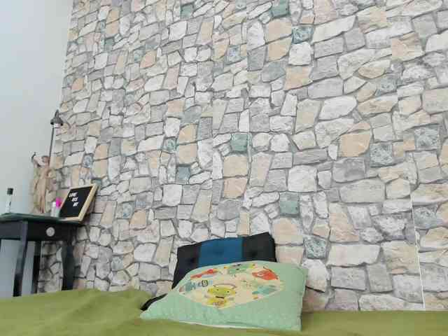 PENELOPE-994 webcam