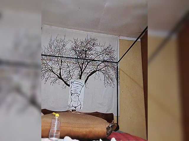  BEENCEE chat room
