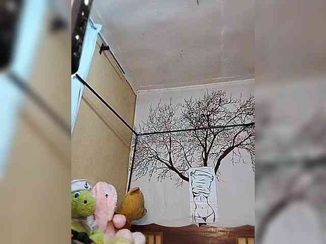 BEENCEE webcam