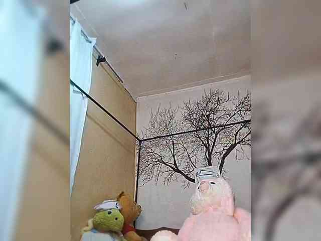 BEENCEE webcam