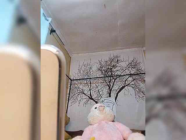 BEENCEE webcam