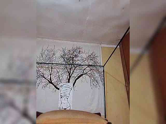 BEENCEE webcam