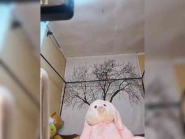 BEENCEE webcam