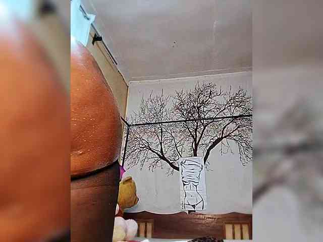 BEENCEE webcam