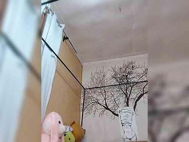 BEENCEE webcam