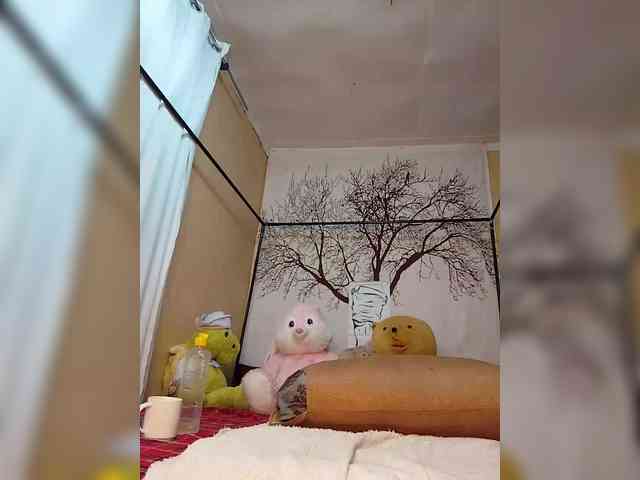 BEENCEE webcam