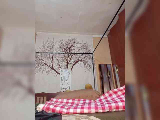 BEENCEE webcam