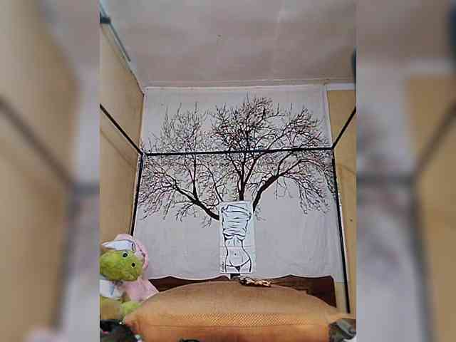 BEENCEE webcam
