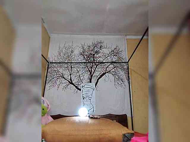 BEENCEE webcam