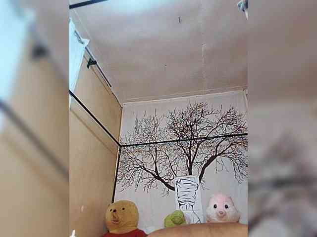 BEENCEE webcam