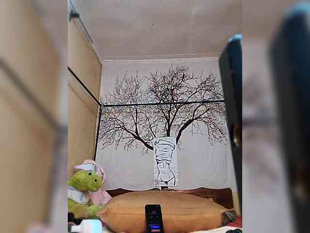 BEENCEE webcam