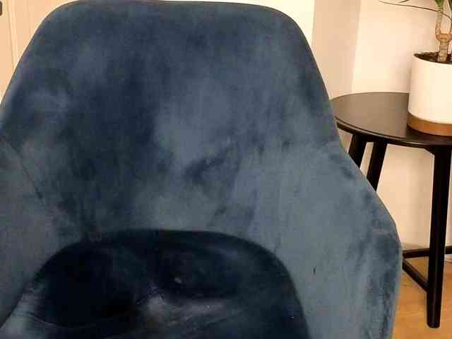 NoFaceModel webcam