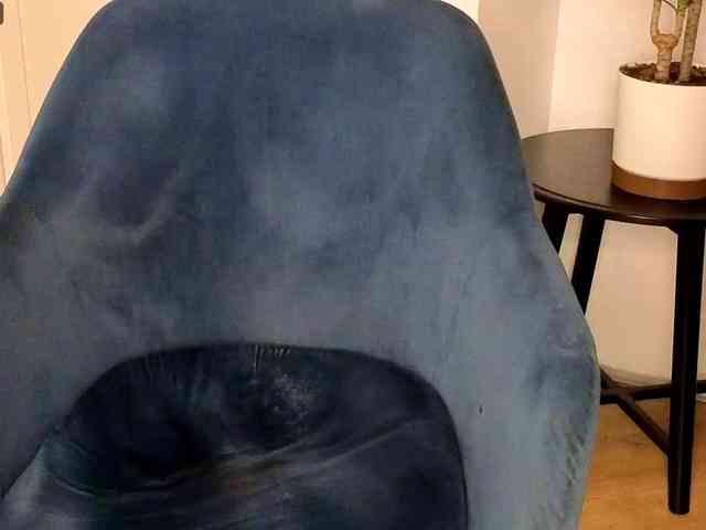 NoFaceModel webcam