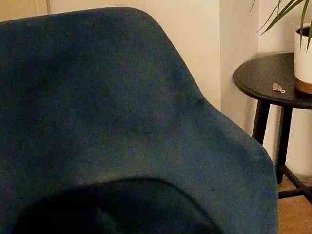NoFaceModel webcam