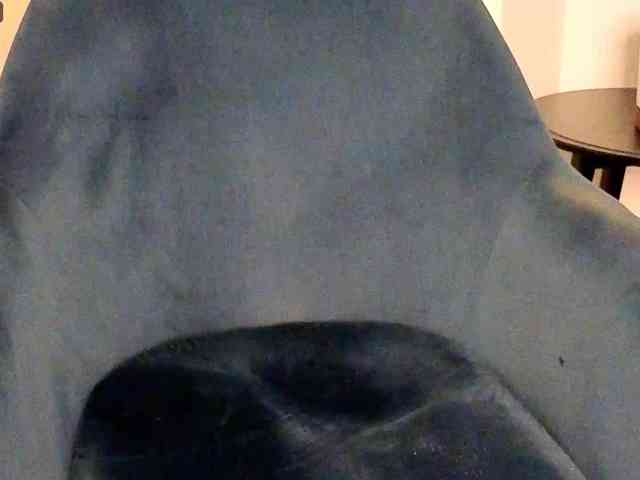 NoFaceModel webcam