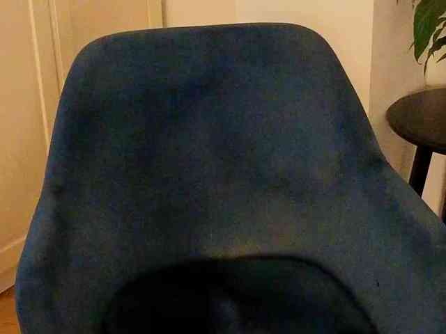 NoFaceModel webcam