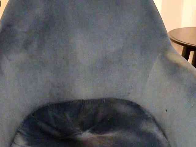 NoFaceModel webcam