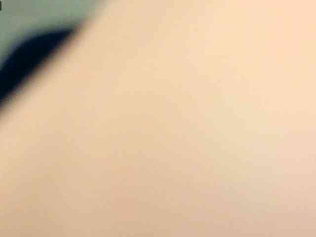 NoFaceModel webcam