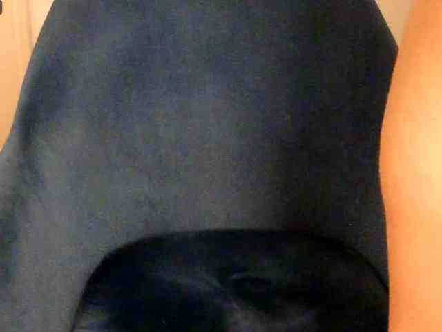 NoFaceModel webcam