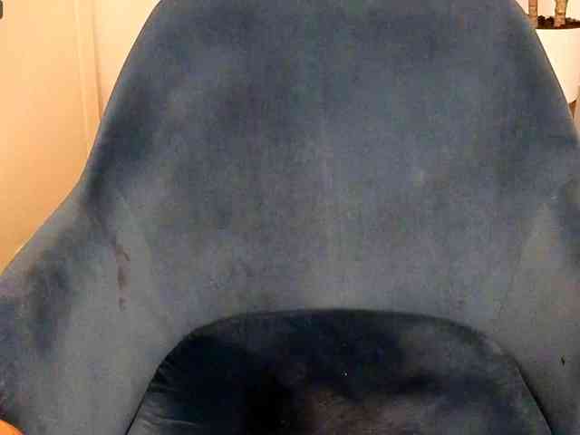 NoFaceModel webcam