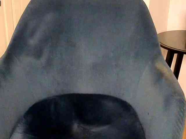 NoFaceModel webcam