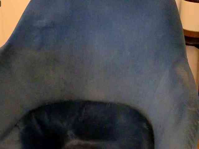 NoFaceModel webcam