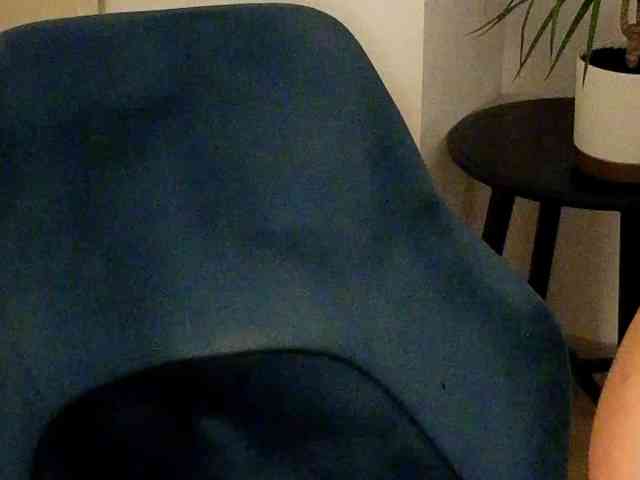 NoFaceModel webcam