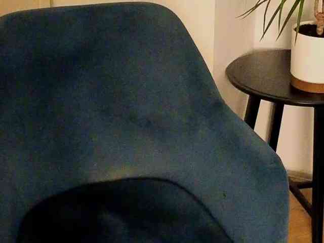 NoFaceModel webcam