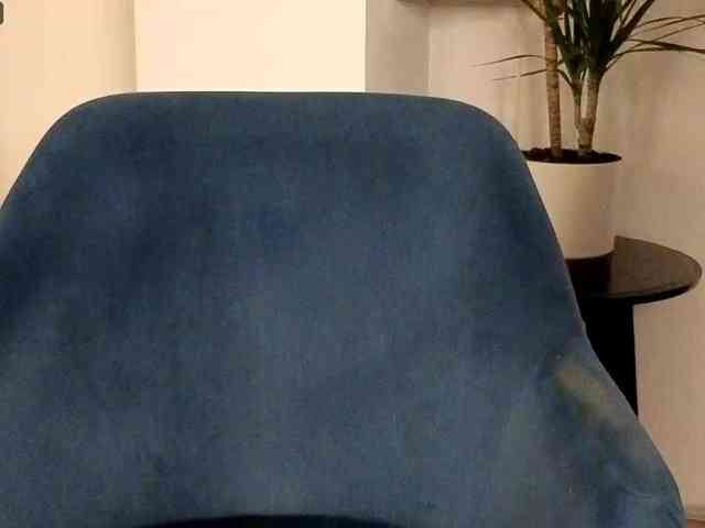 NoFaceModel webcam