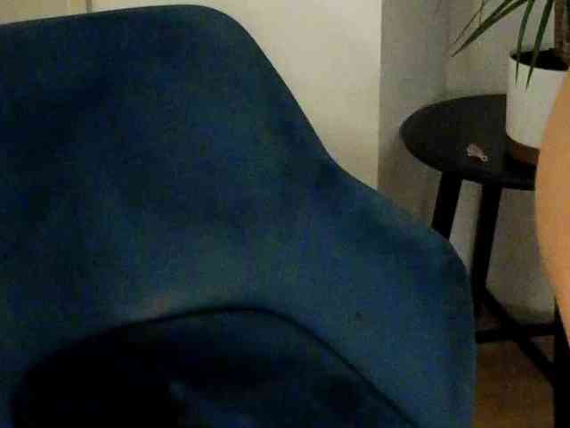 NoFaceModel webcam