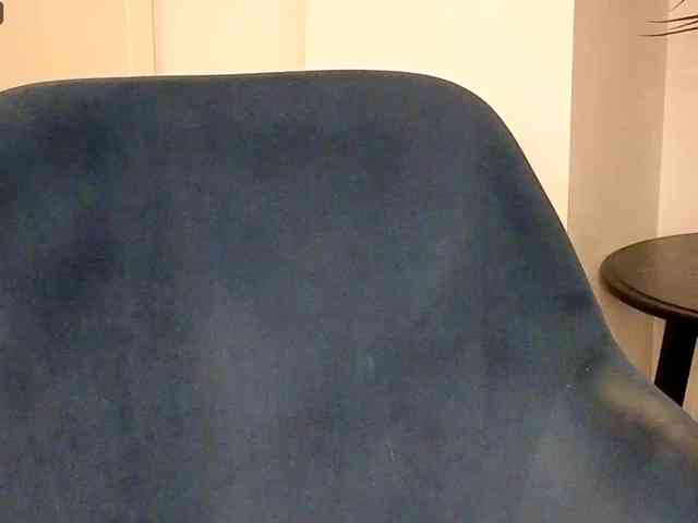 NoFaceModel webcam