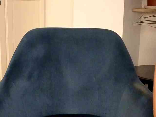 NoFaceModel webcam