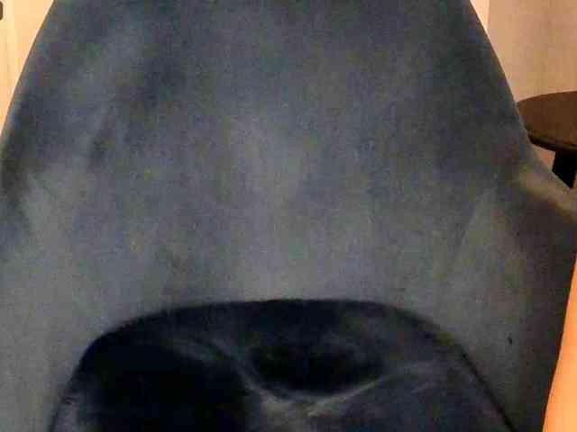NoFaceModel webcam
