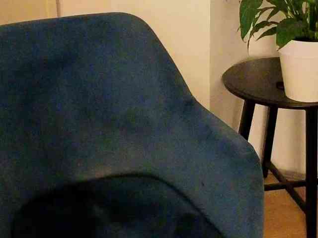 NoFaceModel webcam