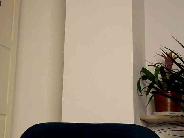 NoFaceModel webcam