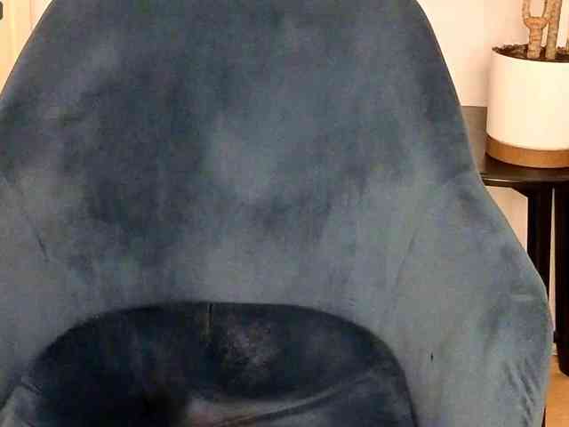 NoFaceModel webcam