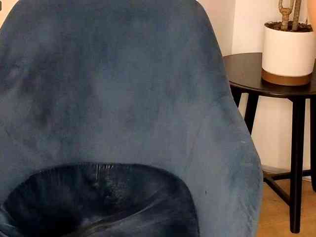 NoFaceModel webcam