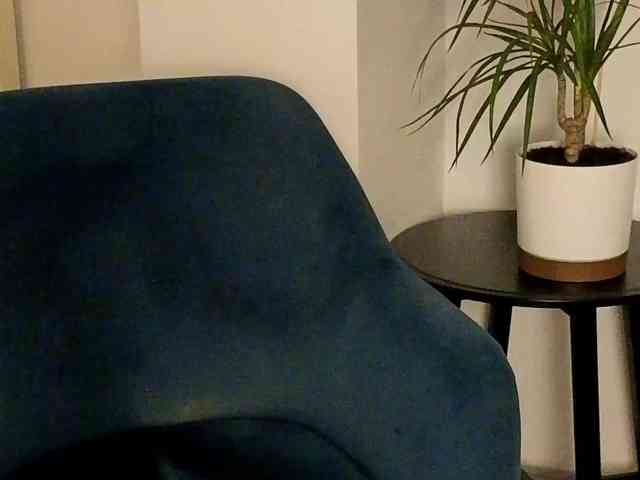 NoFaceModel webcam