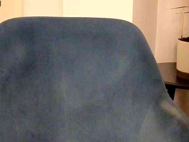 NoFaceModel webcam
