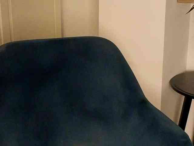 NoFaceModel webcam