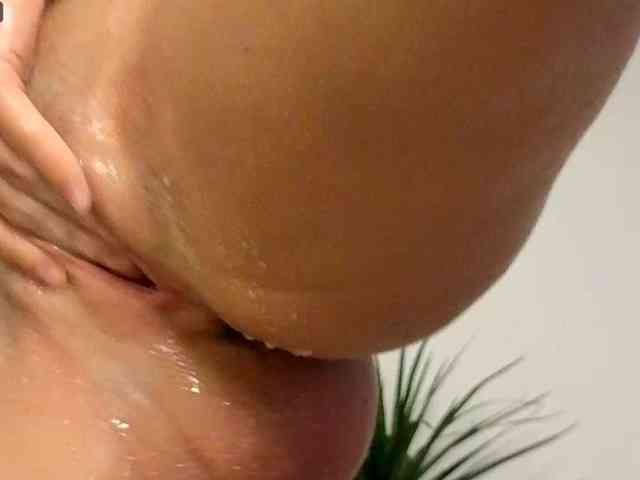 Модель: NoFaceModel