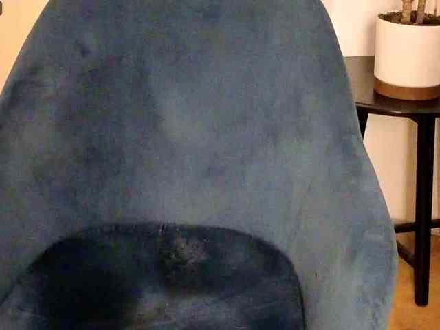 NoFaceModel webcam