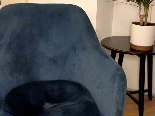 NoFaceModel webcam